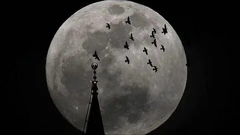 Луна укажет дорогу