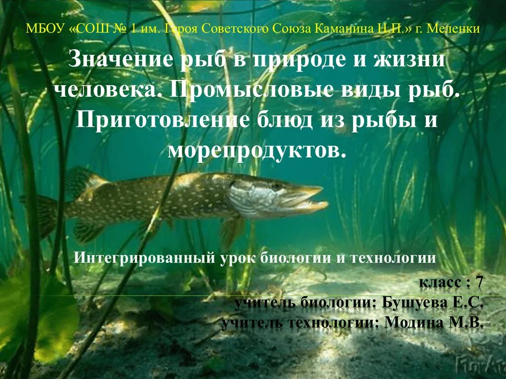 Значение рыб в природе сообщение. Роль рыб в природе. Рыбы в природе и жизни человека. Многообразие рыб в жизни человека. Роль рыб в природе и жизни человека.