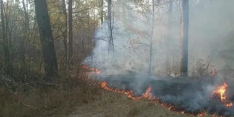Пожары 10 года