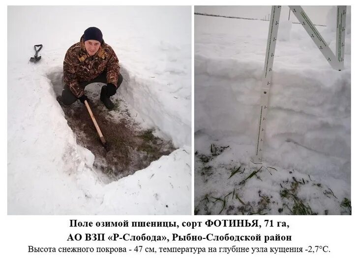 Снежный спас