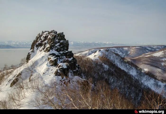 Магнитный пазл 27x18см."Горы, вулкан, грибы" на холодильник купить в интернет-