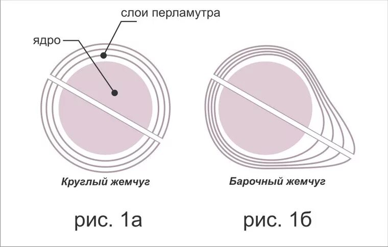 Перламутровый слой. Слой перламутра в жемчуге. Ювелирный тросик диаметр. Слои Жемчужины. Старение жемчуга.