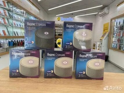 Алиса бу авито