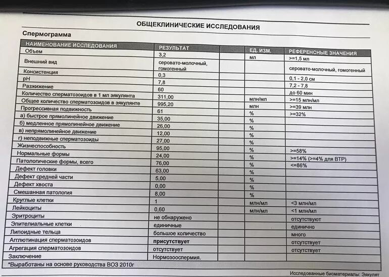 Что нужно для сдачи анализов. Исследование спермограмма. Сдача анализа спермограммы. Спермограмма бланк. Емкость для сдачи эякулята.