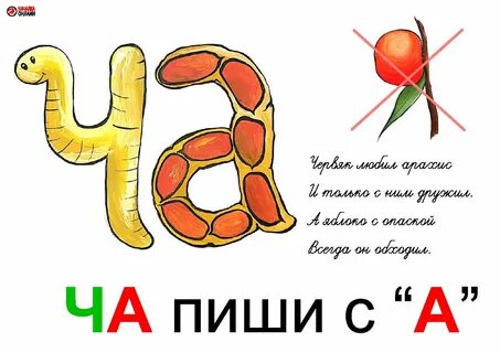 Ча пиши с буквой а
