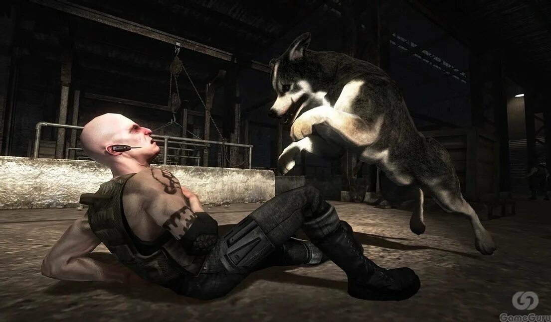 Dead to rights: retribution предзаказ. Dead to rights xbox 360. Мерил стрип и голди хоун. Dead to her. Dead to rights: retribution.