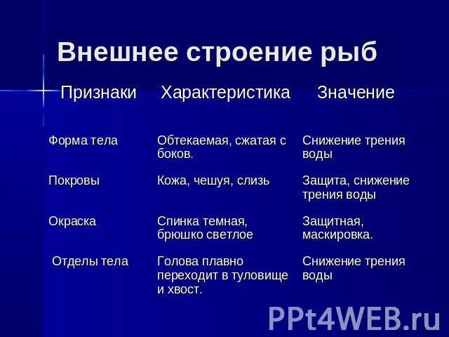 Форма тела рыбы характеристика и значение таблица Картинки ВНЕШНЕЕ СТРОЕНИЕ РЫБЫ 7 КЛАСС БИОЛОГИЯ ТАБЛИЦА
