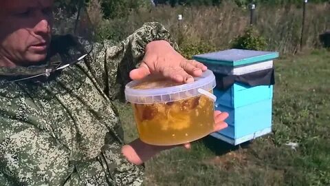 Сыта для пчел