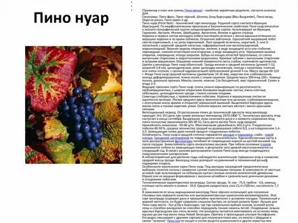 Характеристика винограда пино