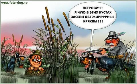 Смешные картинки охотника