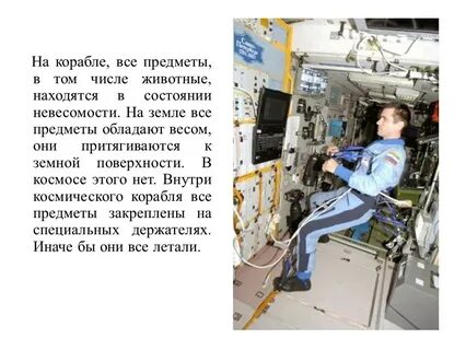 Состояние невесомости испытывают