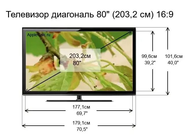 Телевизор 80 дюймов габариты. Телевизор 80 дюймов Размеры в см. Размер диагонали телевизора. Размеры телевизоров в дюймах. Телевизор 50 дюймов ширина и высота