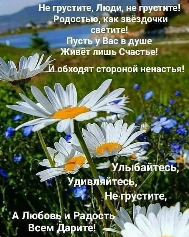8 25 утра. Доброе утро июнь. Живите счастливо доброе утро. Доброе утро счастье. Мудрые пожелания доброго июньского утра.