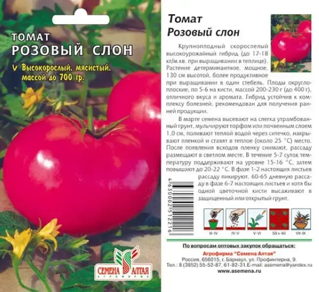 Характеристика и урожайность томата розовый гигант. Томат f1 розовый гигант. семена томатов сорт розовый гигант. розовый слон томат описание. томат розовый гигант семена алтая.