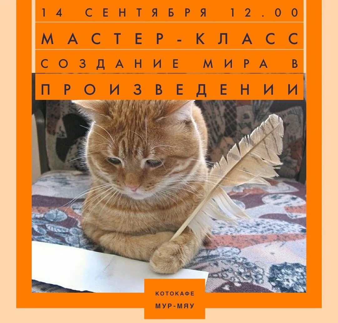 Песни мяу мур мур. Мрмяу. Мур мяу. Котокафе Мур мяу. Котокафе Мур мяу Тверь.