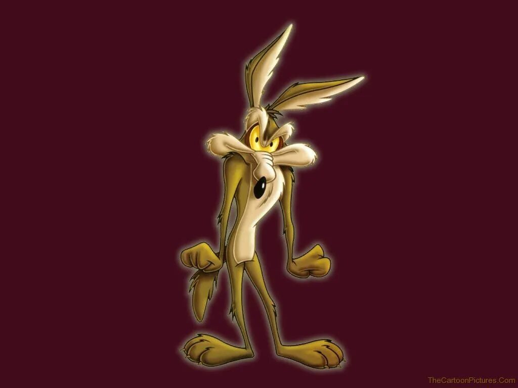 Looney tunes x x ray. Багз Банни и койот. Looney Tunes Wile e Coyote. Койот Warner brothers.