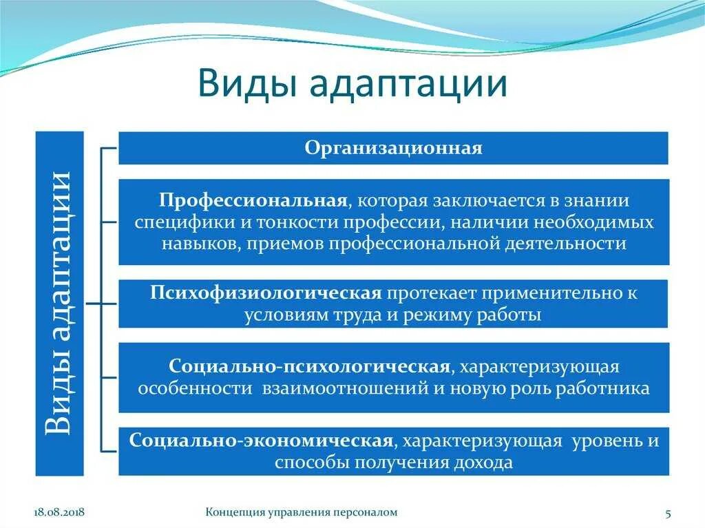 Адаптация включение в. Типы социально психологической адаптации личности. Основные формы адаптации. Выберите типы адаптации:. Этапы психологической адаптации.