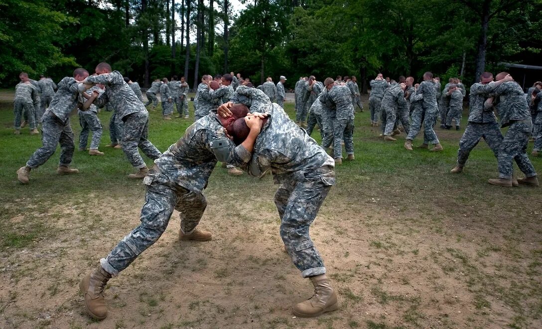 Combat behavior