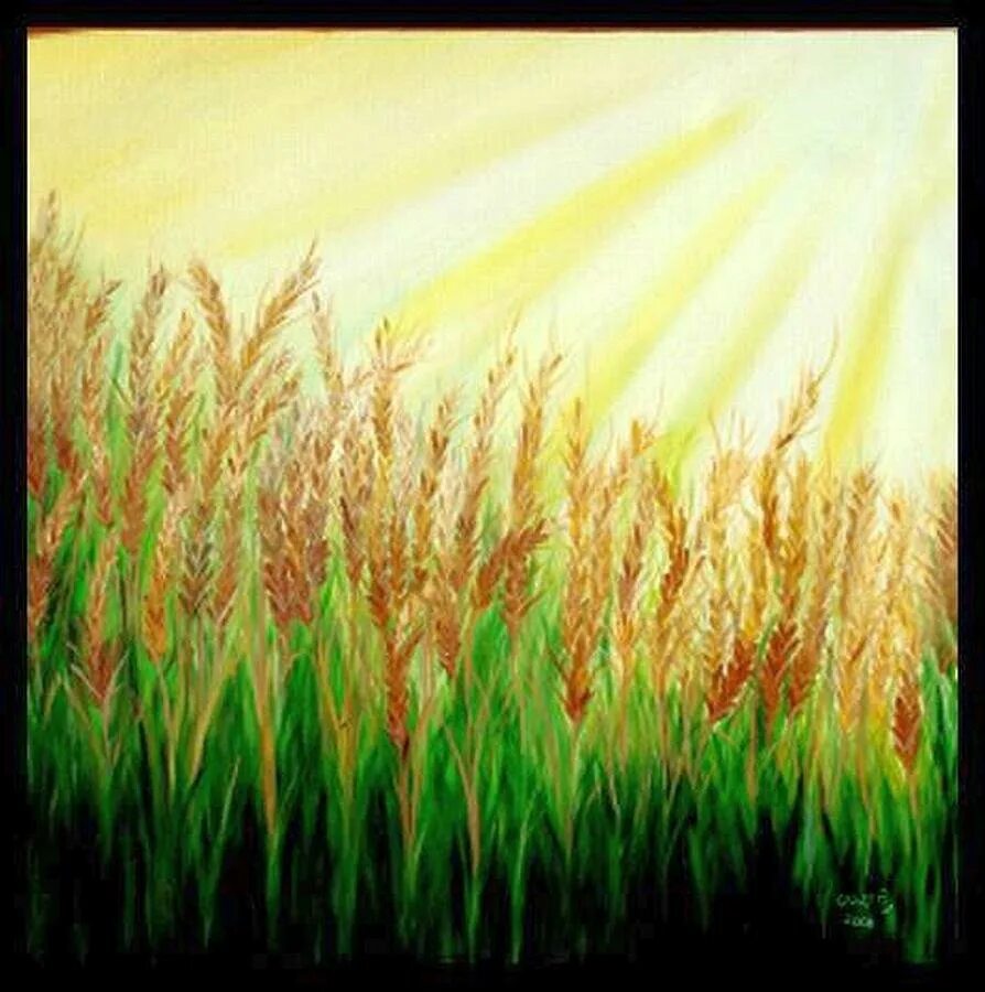 Поля на бумаге. Поле пшеницы. Картина поле пшеницы. Рисование пшеничное поле. Пшеничное поле живопись.