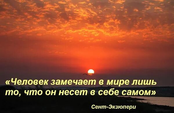 Заметьте что на каждую из