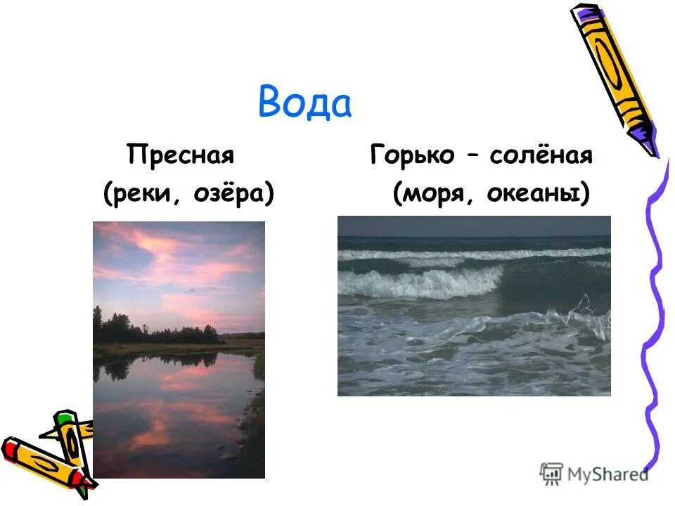 Почему вода в реке пресная. Пресная и соленая вода. В реке пресная в море соленая. Почему реки пресные. Вода соленая реки или озера.