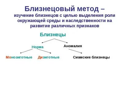 Метод контрольного близнеца
