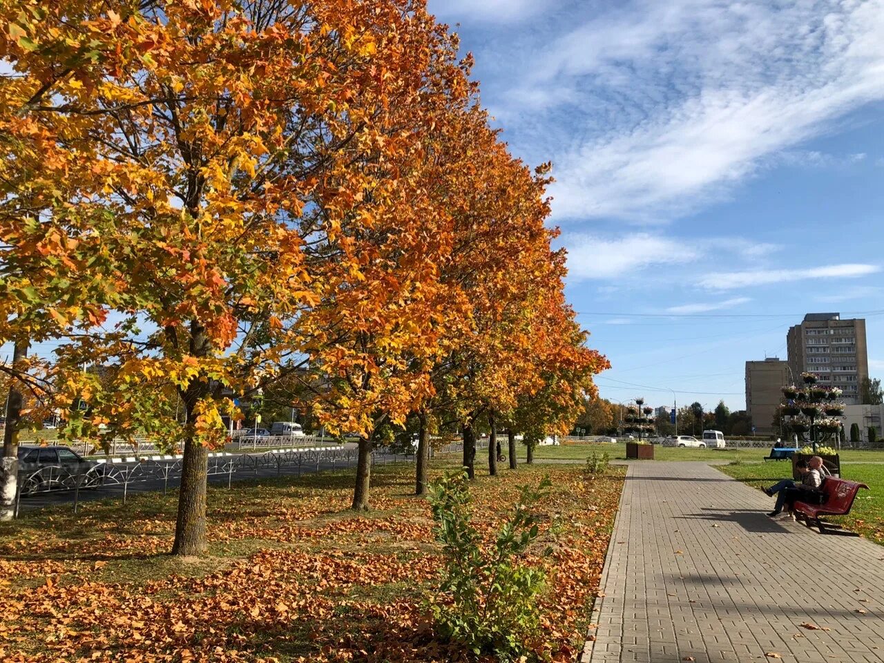 Осенью будет 10. Сентябрь природа. Осенняя аллея в парке. Осенняя аллея. Штат вермонт дерево.