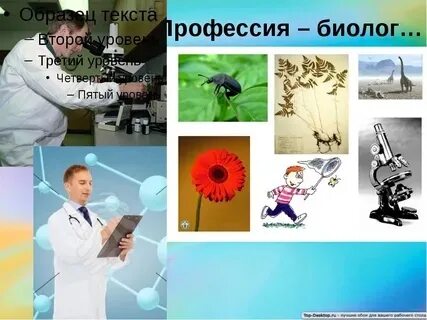 Презентация профессии людей связанные с биологией. Презентация профессии людей связанные с биологией. Презентация профессии людей связанные с биологией. Профессия связанная с биологией 5 класс. Профессии связанные с био.