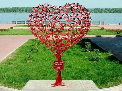 Песни дерево любви