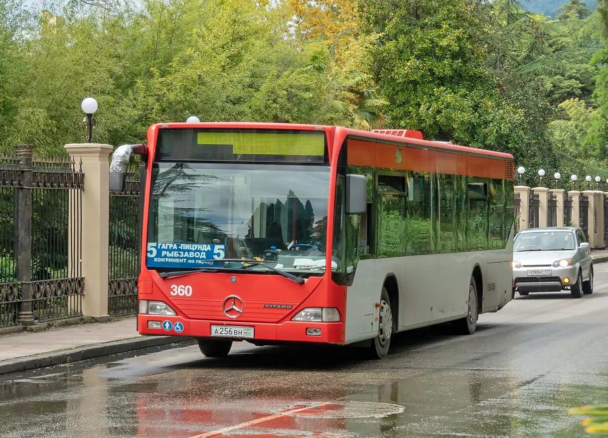 Маршрутки гагра. Мерседес Ситаро Абхазия. Автобус 5 Гагра. Рыбзавод Гагра автобус 5. Гагра Пицунда автобус.