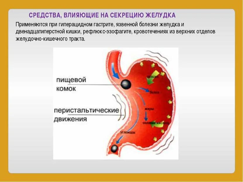 Лс влияющие на жкт. Пищеварительные процессы в желудке. перистальтические сокращения желудка. средства влияющие на секрецию желудка. перистальтика желудка.