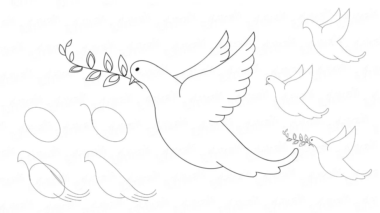Рисунок голубя на 9. Голубь рисунок карандашом. Поэтапное рисование голубя. Рисунок голубя для срисовки. Рисунок голубя карандашом для срисовки.