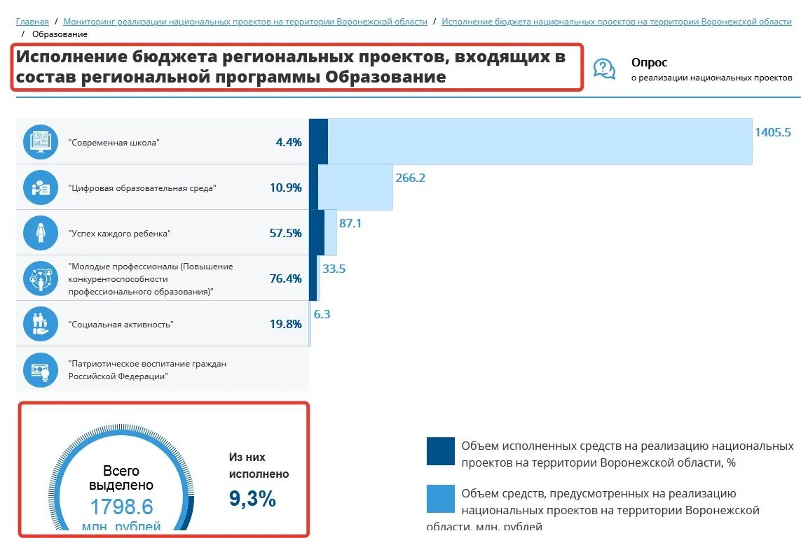 Национальные проекты 2018 г. О ходе реализации национального проекта. Реализация национальных проектов. Счетная палата национальные проекты. Ход реализации проекта.