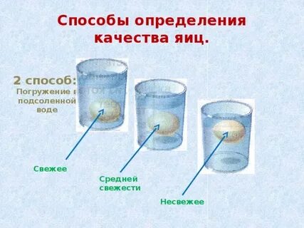 Какие способы определения свежести яиц вам известны