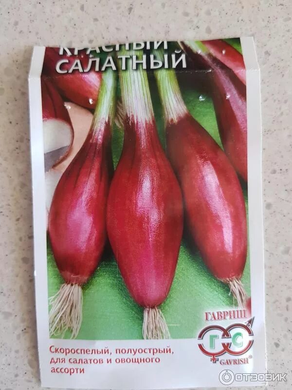Красный салатный. Лук салатный красный. Лук красный салатный гавриш. Названия семян красного салата. Радичио россо.