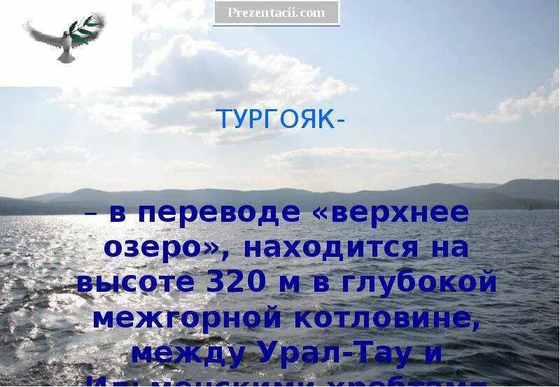 Озеро тургояк презентация. Презентация озеро Тургояк. Сообщение о озере Тургояк. Озеро Тургояк доклад. Тургояк в переводе верхнее озеро.