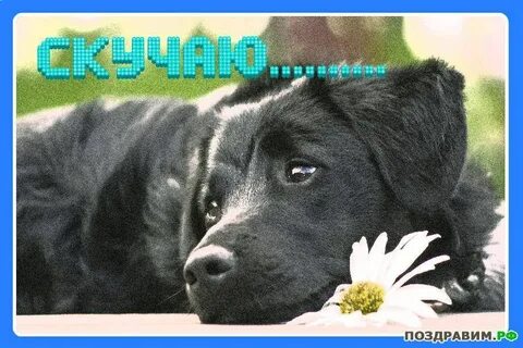 Скучаю без фото