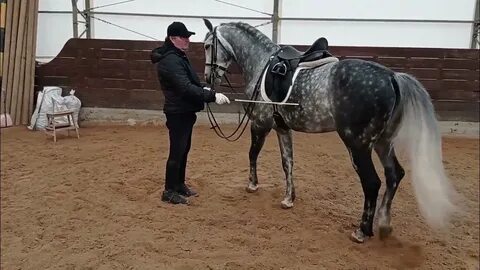 Кизим88