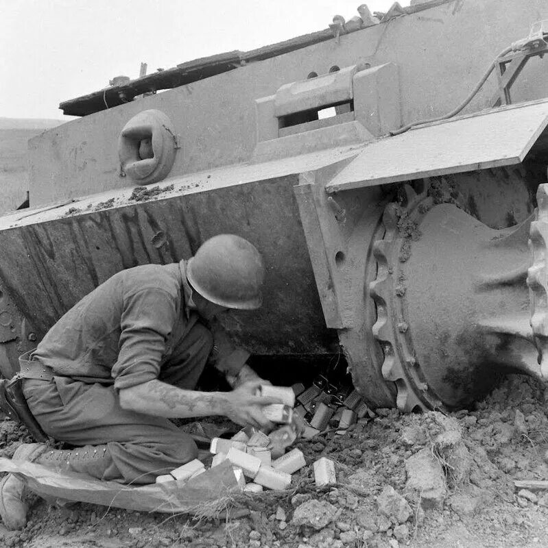 Tiger mining