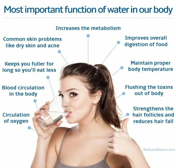 Water in body. Функция воды в организме инфографика. Human body water. Functions of water. Functions of water.