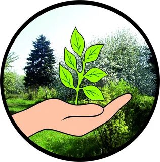 Областной экологический проект