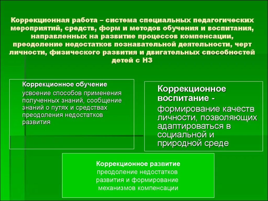 Специальные образовательные условия обучения и воспитания. Коррекционная работа. Методы в коррекционной педагогической работы. Педагогические методы обучения и воспитания. Формы и методы в педагогике.