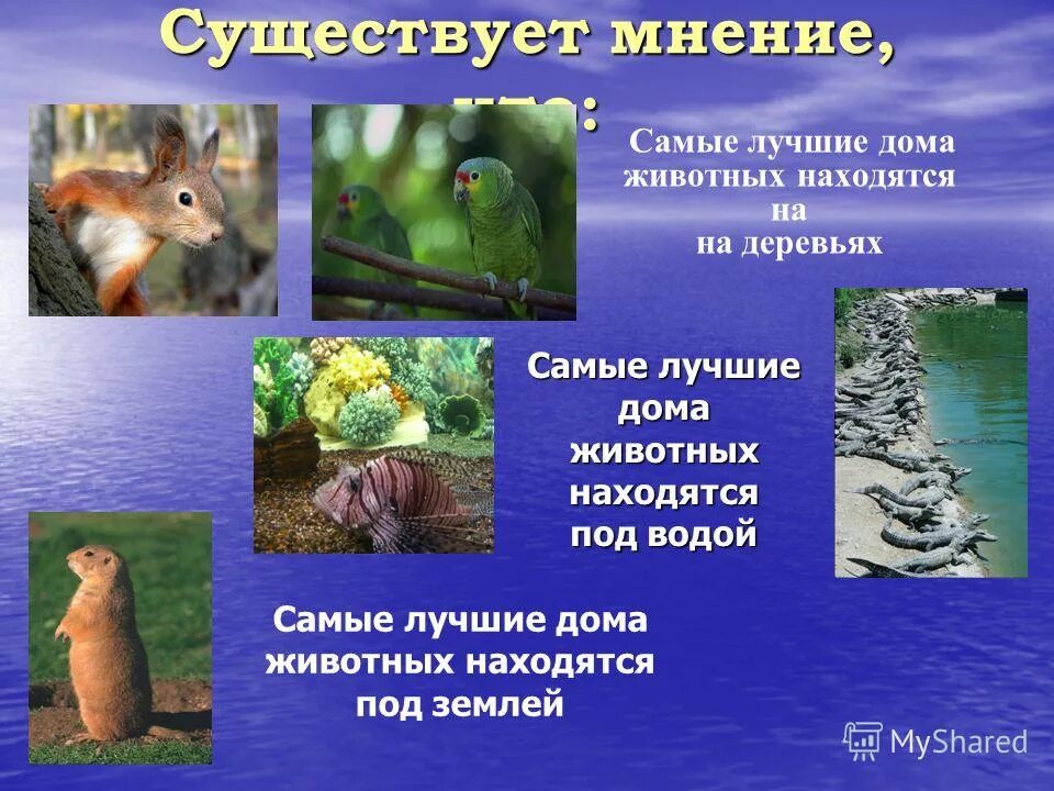 Презентация нефедова какие дома у животных. Люди строят жилища. Жилища людей для дошкольников. Презентация жилища животных 1 класса. Презентация нефедова какие дома у животных.