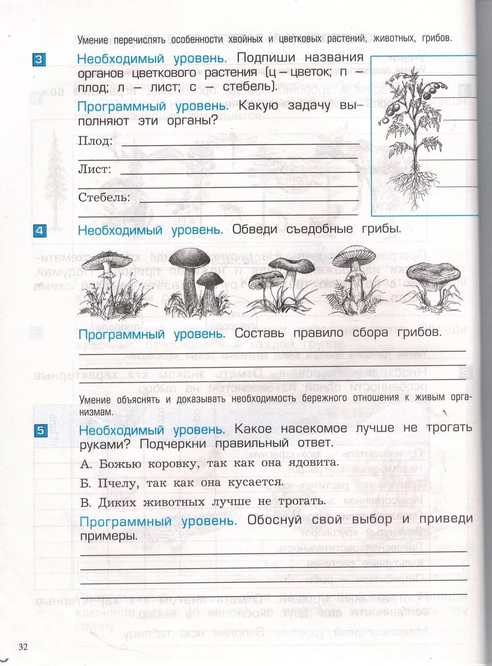 Окружающий мир 3 класс проверочная экология. Контрольные тетради по окружающему миру. Тетрадка по окружающей  проверочная. Контрольная тетрадь по окружающему миру 3 класс. Проверочная тетрадь по окружающему миру 3 класс.