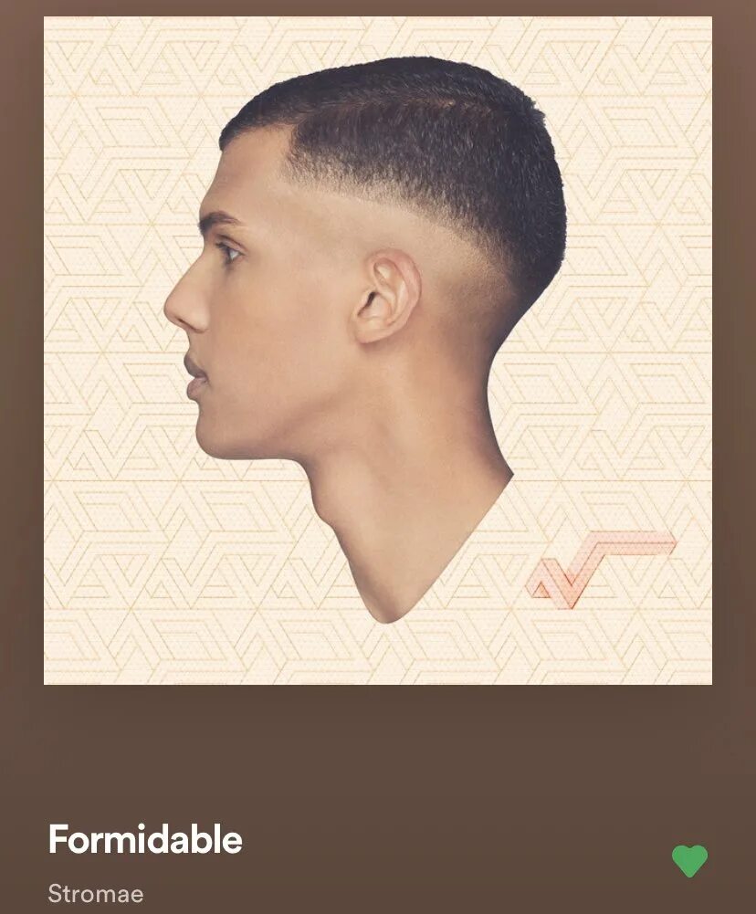 Стромай формидабле перевод. Stromae Мем. Stromae прическа гриб. Stromae tous les mêmes текст. Лысеет Stromae.