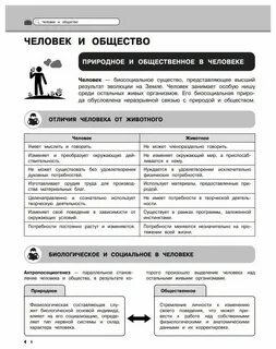 Наглядный курс