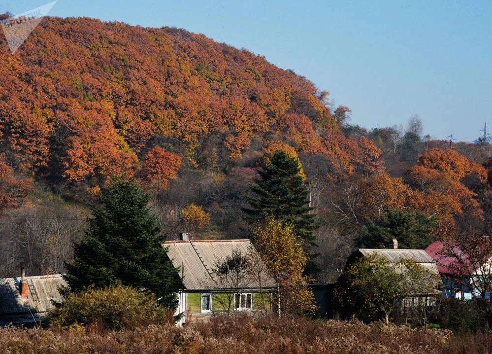 Село дерсу приморский край староверы. Винодельня приморский край анисимовка. Деревни в приморском крае. Село гражданка приморский край анучинский район. Деревни в приморском крае.