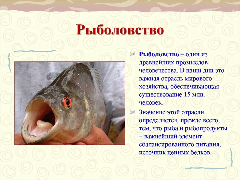 Рыболовство окружающий мир 4 класс. Рыболовство презентация. презентация о рыбаловсв. презентация на тему рыболовство. рассказ рыболов.