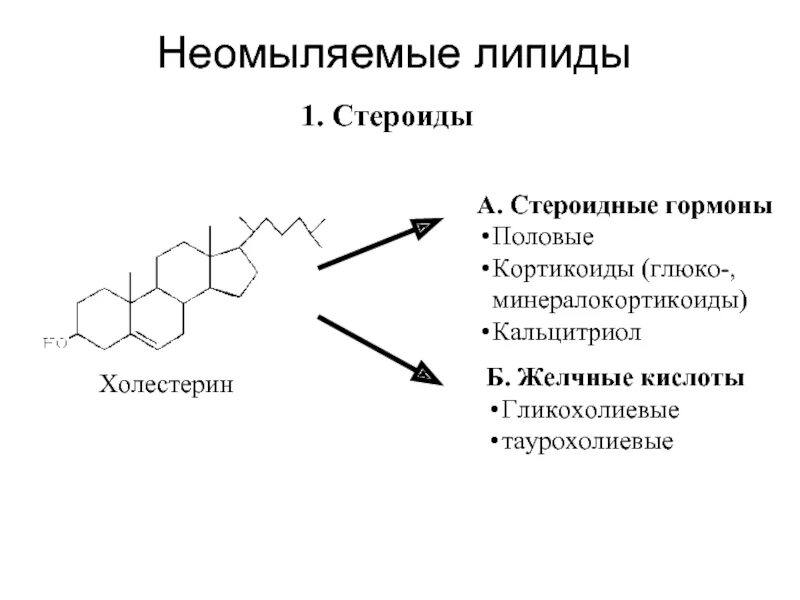 Классификация липидов биохимия. Классификация липидов биология 10 класс. Резервный, , классификация липидов. Простые липиды стероиды строение. Классификация липидов таблица.