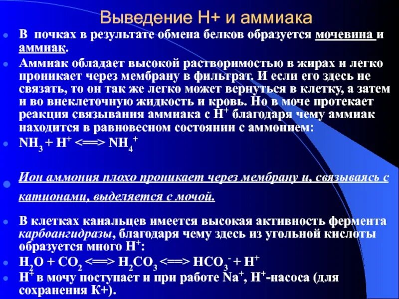 Мочевина в почках. Выведение аммиака. выведение мочевины почками. аммиак мочевина мочевая кислота. аммиак в почках.